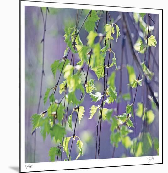 Spring Leaves-Ken Bremer-Mounted Limited Edition