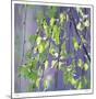 Spring Leaves-Ken Bremer-Mounted Limited Edition