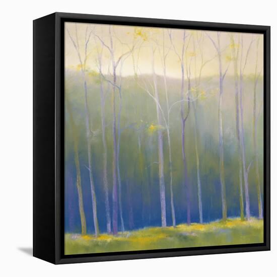 Spring Leaves-Teri Jonas-Framed Stretched Canvas