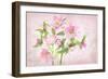 Spring Lenten-Jacky Parker-Framed Giclee Print