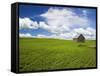 Spring Lentil Crop and Old Barn, Idaho, USA-Terry Eggers-Framed Stretched Canvas