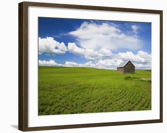 Spring Lentil Crop and Old Barn, Idaho, USA-Terry Eggers-Framed Photographic Print