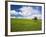 Spring Lentil Crop and Old Barn, Idaho, USA-Terry Eggers-Framed Photographic Print