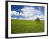 Spring Lentil Crop and Old Barn, Idaho, USA-Terry Eggers-Framed Photographic Print