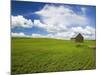 Spring Lentil Crop and Old Barn, Idaho, USA-Terry Eggers-Mounted Photographic Print