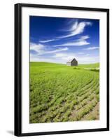 Spring Lentil Crop and Old Barn, Idaho, USA-Terry Eggers-Framed Photographic Print