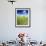 Spring Lentil Crop and Old Barn, Idaho, USA-Terry Eggers-Framed Photographic Print displayed on a wall