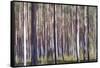 Spring Light 1-Jacob Berghoef-Framed Stretched Canvas