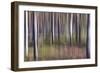 Spring Light 2-Jacob Berghoef-Framed Photographic Print