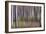 Spring Light 2-Jacob Berghoef-Framed Photographic Print