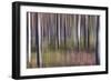 Spring Light 2-Jacob Berghoef-Framed Photographic Print