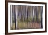 Spring Light 2-Jacob Berghoef-Framed Photographic Print