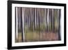 Spring Light 2-Jacob Berghoef-Framed Photographic Print