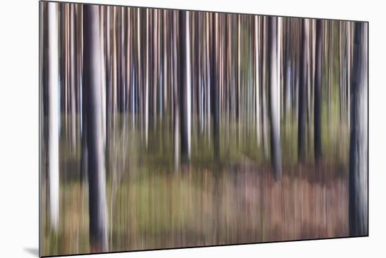 Spring Light 2-Jacob Berghoef-Mounted Photographic Print