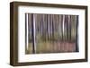 Spring Light 2-Jacob Berghoef-Framed Photographic Print