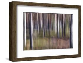 Spring Light 2-Jacob Berghoef-Framed Photographic Print