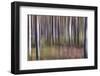 Spring Light 2-Jacob Berghoef-Framed Photographic Print