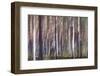 Spring Light 3-Jacob Berghoef-Framed Photographic Print