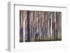 Spring Light 3-Jacob Berghoef-Framed Photographic Print