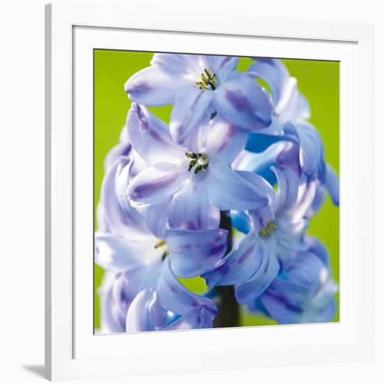 Spring Light II-Joseph Eta-Framed Giclee Print