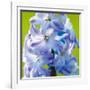 Spring Light II-Joseph Eta-Framed Giclee Print