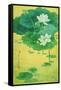 Spring Lotus-Ailian Price-Framed Stretched Canvas