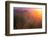 Spring Magic Wildlfowers Sunrise Magic Petaluma Sonoma-Vincent James-Framed Photographic Print