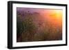 Spring Magic Wildlfowers Sunrise Magic Petaluma Sonoma-Vincent James-Framed Photographic Print