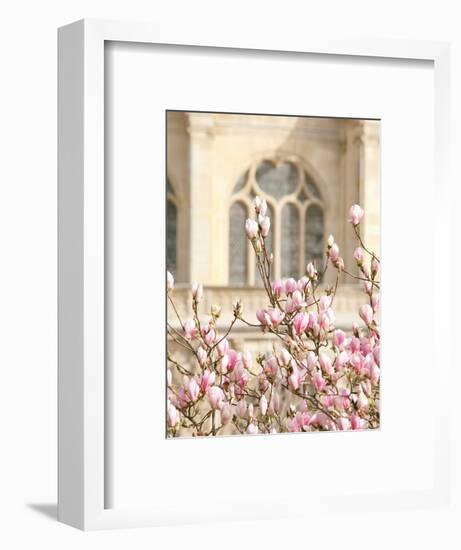 Spring Magnolias In Paris-Carina Okula-Framed Photographic Print