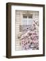 Spring Magnolias in Paris-Carina Okula-Framed Photographic Print