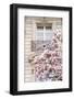 Spring Magnolias in Paris-Carina Okula-Framed Photographic Print