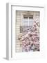 Spring Magnolias in Paris-Carina Okula-Framed Photographic Print