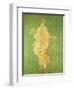 Spring, Maiden Gathering Flowers, from the Villa of Varano in Stabiae, c.15 BC-60 Ad-Roman-Framed Giclee Print