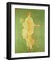 Spring, Maiden Gathering Flowers, from the Villa of Varano in Stabiae, c.15 BC-60 Ad-Roman-Framed Giclee Print