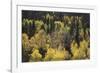 Spring Maze-Bill Philip-Framed Giclee Print