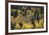 Spring Maze-Bill Philip-Framed Giclee Print