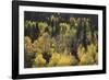 Spring Maze-Bill Philip-Framed Giclee Print