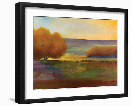 Spring Meadow I-Sokol Hohne-Framed Art Print