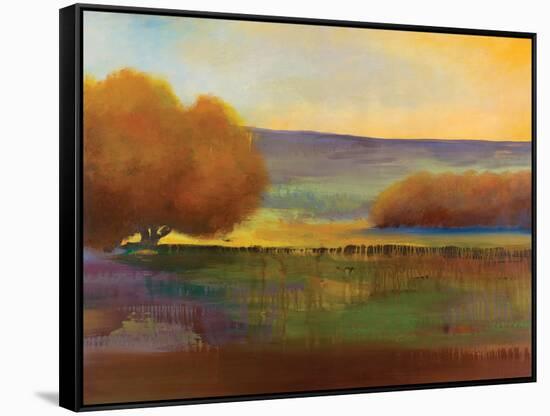 Spring Meadow I-Sokol Hohne-Framed Stretched Canvas