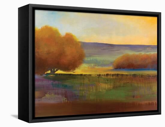 Spring Meadow I-Sokol Hohne-Framed Stretched Canvas