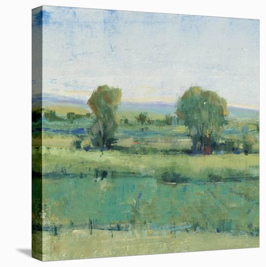 Spring Meadow I-Tim OToole-Stretched Canvas