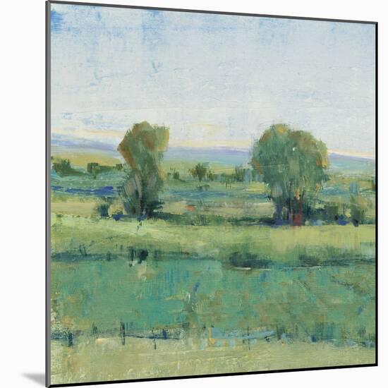Spring Meadow I-Tim OToole-Mounted Art Print