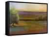 Spring Meadow II-Sokol Hohne-Framed Stretched Canvas