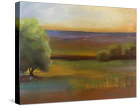 Spring Meadow II-Sokol Hohne-Stretched Canvas