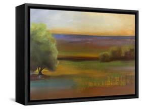 Spring Meadow II-Sokol Hohne-Framed Stretched Canvas