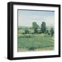 Spring Meadow II-Tim OToole-Framed Art Print