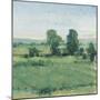 Spring Meadow II-Tim OToole-Mounted Art Print