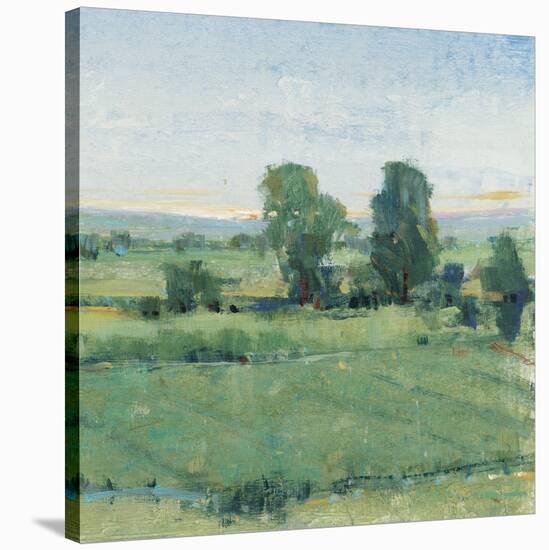 Spring Meadow II-Tim OToole-Stretched Canvas