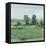 Spring Meadow II-Tim OToole-Framed Stretched Canvas