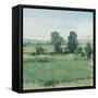 Spring Meadow II-Tim OToole-Framed Stretched Canvas